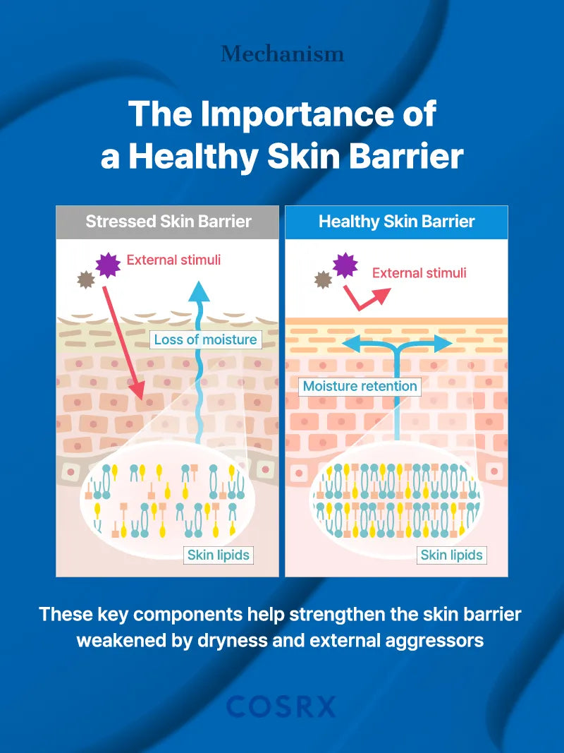 Beginner Cosrx Skincare Routine Steps: Easy Guide for Glowing Skin